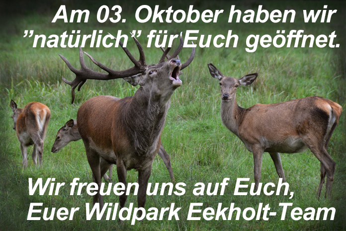 03_10_geöffnet